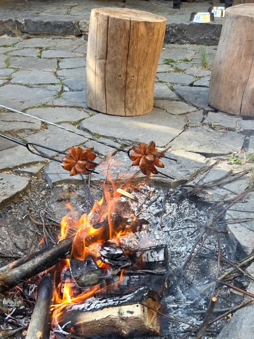 ohniště zahrada Brno
